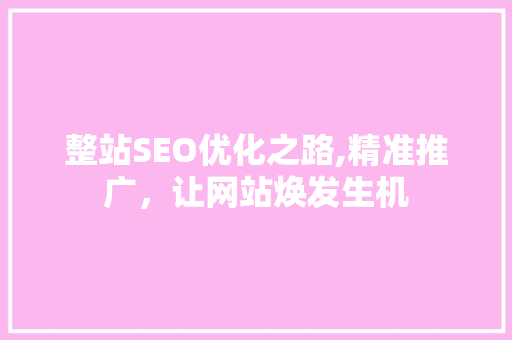 整站SEO优化之路,精准推广，让网站焕发生机