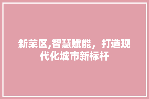 新荣区,智慧赋能，打造现代化城市新标杆