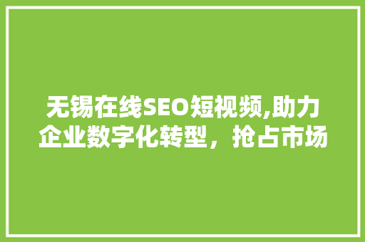 无锡在线SEO短视频,助力企业数字化转型，抢占市场先机