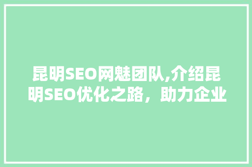 昆明SEO网魅团队,介绍昆明SEO优化之路，助力企业互联网营销新高度