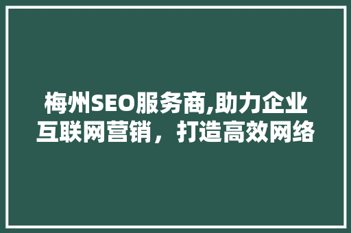 梅州SEO服务商,助力企业互联网营销，打造高效网络品牌形象 网站优化