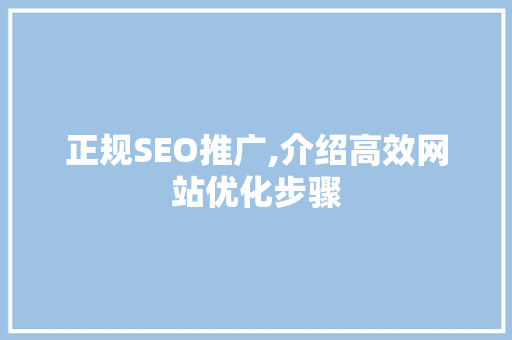 正规SEO推广,介绍高效网站优化步骤