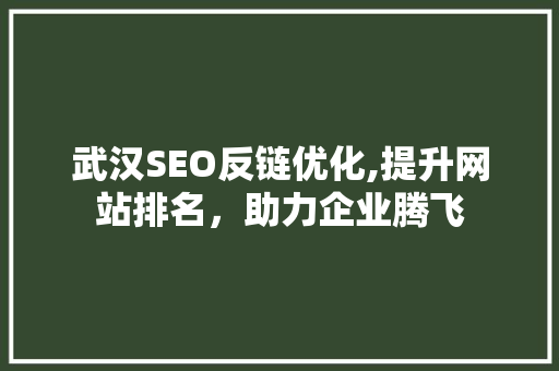 武汉SEO反链优化,提升网站排名，助力企业腾飞