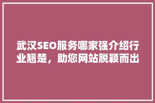 武汉SEO服务哪家强介绍行业翘楚，助您网站脱颖而出