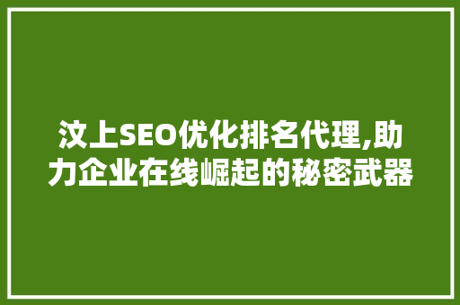 汶上SEO优化排名代理,助力企业在线崛起的秘密武器