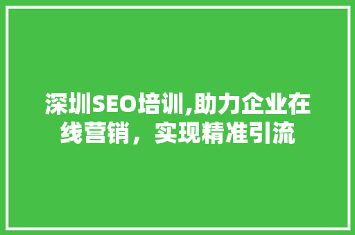 深圳SEO培训,助力企业在线营销，实现精准引流