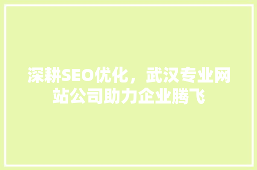 深耕SEO优化，武汉专业网站公司助力企业腾飞