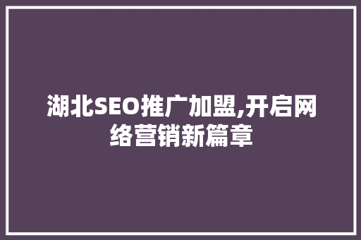 湖北SEO推广加盟,开启网络营销新篇章
