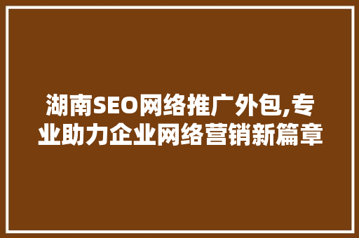 湖南SEO网络推广外包,专业助力企业网络营销新篇章
