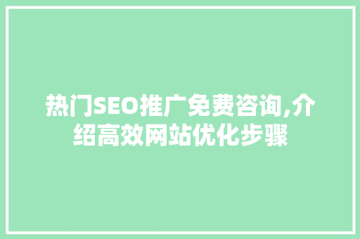热门SEO推广免费咨询,介绍高效网站优化步骤