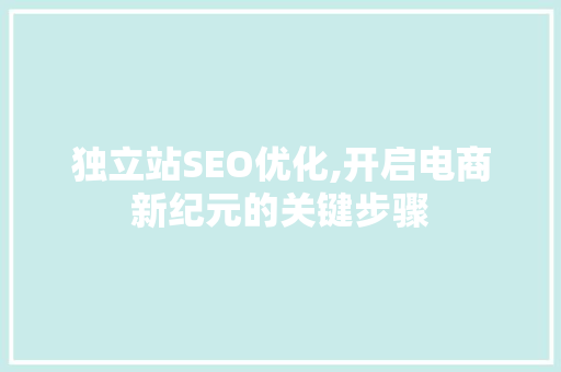 独立站SEO优化,开启电商新纪元的关键步骤