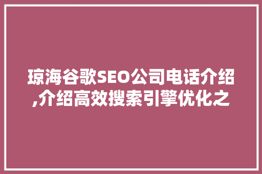 琼海谷歌SEO公司电话介绍,介绍高效搜索引擎优化之路 网站开发