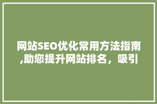 网站SEO优化常用方法指南,助您提升网站排名，吸引精准流量