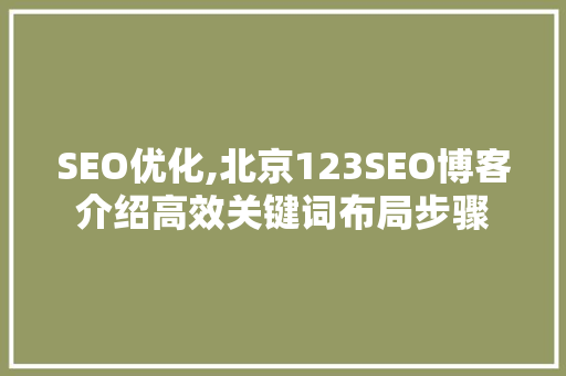 SEO优化,北京123SEO博客介绍高效关键词布局步骤 小程序开发