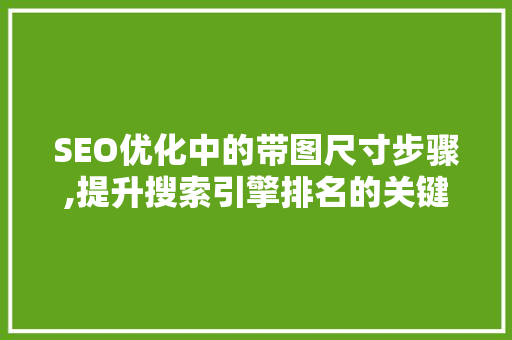 SEO优化中的带图尺寸步骤,提升搜索引擎排名的关键 搜狗优化