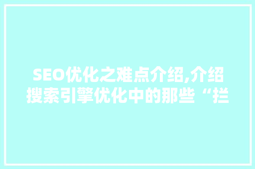 SEO优化之难点介绍,介绍搜索引擎优化中的那些“拦路虎”