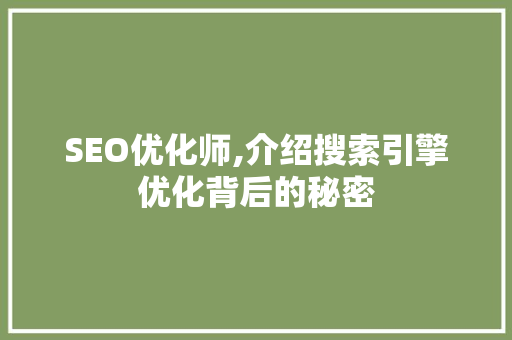 SEO优化师,介绍搜索引擎优化背后的秘密 360搜优化