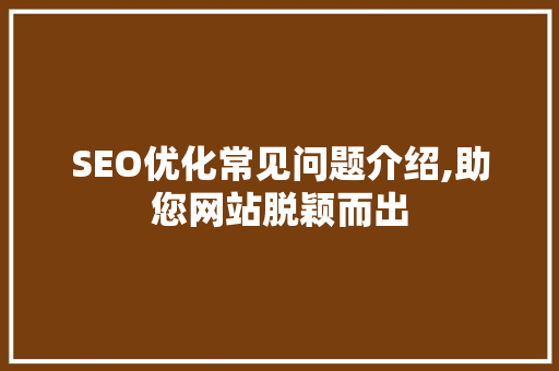 SEO优化常见问题介绍,助您网站脱颖而出 360搜优化