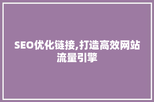SEO优化链接,打造高效网站流量引擎