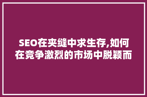 SEO在夹缝中求生存,如何在竞争激烈的市场中脱颖而出 小程序开发