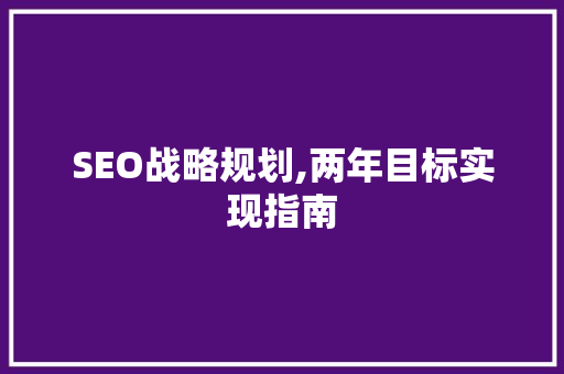 SEO战略规划,两年目标实现指南