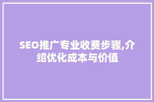 SEO推广专业收费步骤,介绍优化成本与价值