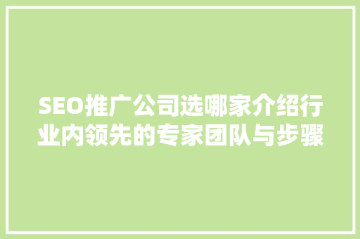 SEO推广公司选哪家介绍行业内领先的专家团队与步骤
