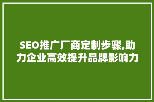 SEO推广厂商定制步骤,助力企业高效提升品牌影响力