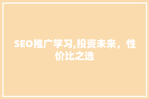 SEO推广学习,投资未来，性价比之选