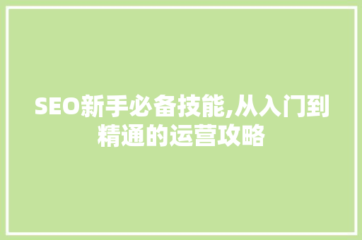 SEO新手必备技能,从入门到精通的运营攻略