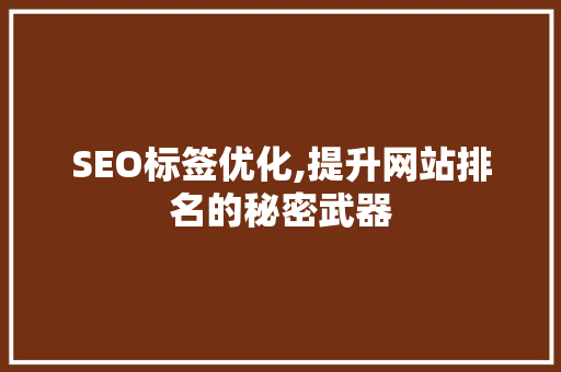 SEO标签优化,提升网站排名的秘密武器