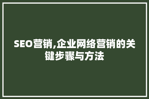 SEO营销,企业网络营销的关键步骤与方法