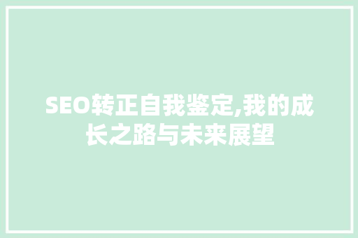 SEO转正自我鉴定,我的成长之路与未来展望