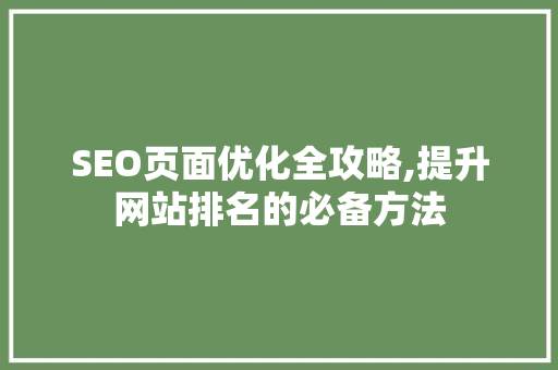 SEO页面优化全攻略,提升网站排名的必备方法