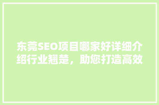 东莞SEO项目哪家好详细介绍行业翘楚，助您打造高效网络营销