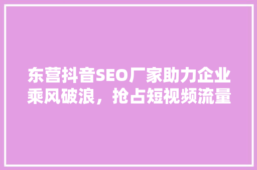 东营抖音SEO厂家助力企业乘风破浪，抢占短视频流量高地