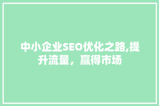 中小企业SEO优化之路,提升流量，赢得市场 小程序开发