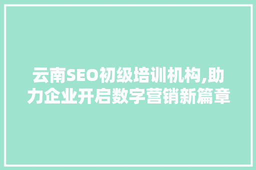 云南SEO初级培训机构,助力企业开启数字营销新篇章 360搜优化