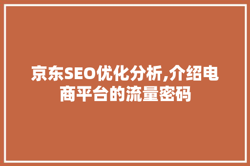 京东SEO优化分析,介绍电商平台的流量密码