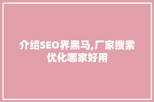 介绍SEO界黑马,厂家搜索优化哪家好用