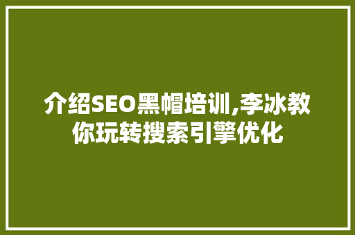 介绍SEO黑帽培训,李冰教你玩转搜索引擎优化