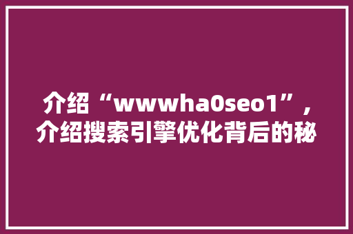 介绍“wwwha0seo1”,介绍搜索引擎优化背后的秘密