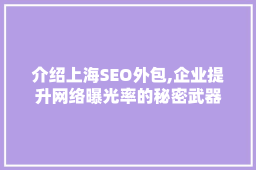 介绍上海SEO外包,企业提升网络曝光率的秘密武器