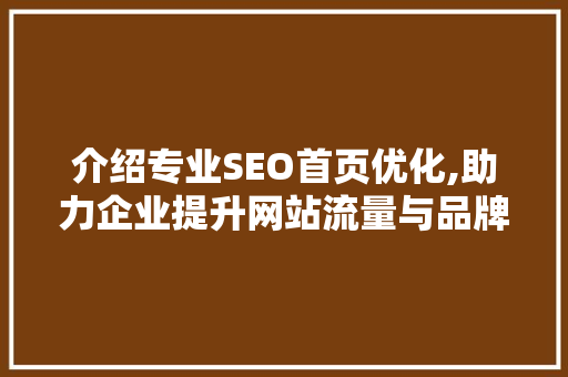 介绍专业SEO首页优化,助力企业提升网站流量与品牌影响力