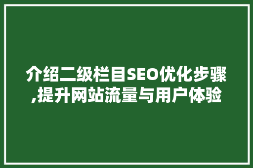 介绍二级栏目SEO优化步骤,提升网站流量与用户体验的方法