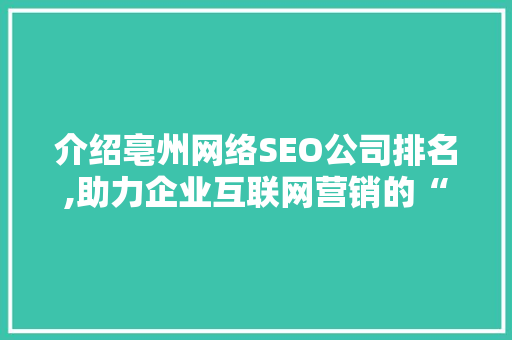 介绍亳州网络SEO公司排名,助力企业互联网营销的“隐形推手”