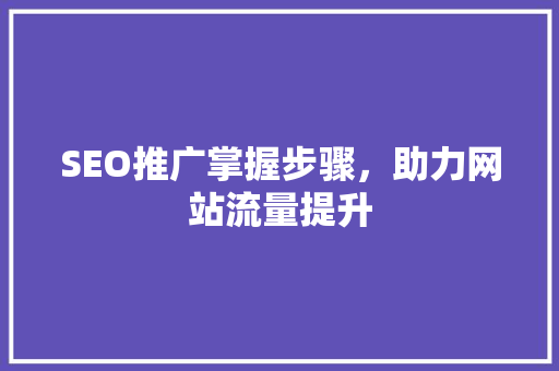 SEO推广掌握步骤，助力网站流量提升