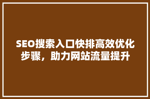 SEO搜索入口快排高效优化步骤，助力网站流量提升