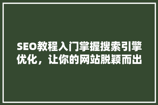 SEO教程入门掌握搜索引擎优化，让你的网站脱颖而出 小程序开发