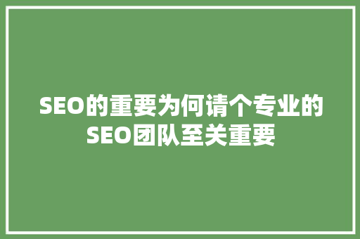 SEO的重要为何请个专业的SEO团队至关重要